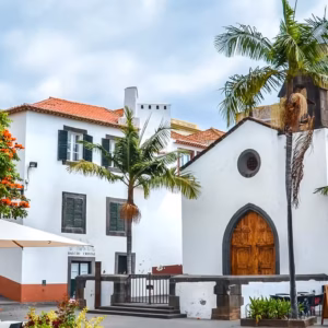 Stjúpuhittingur á Madeira 17. - 24. febrúar 2026